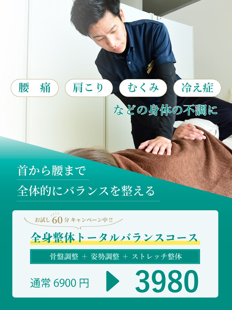 全身整体トータルバランスコースキャンペーン